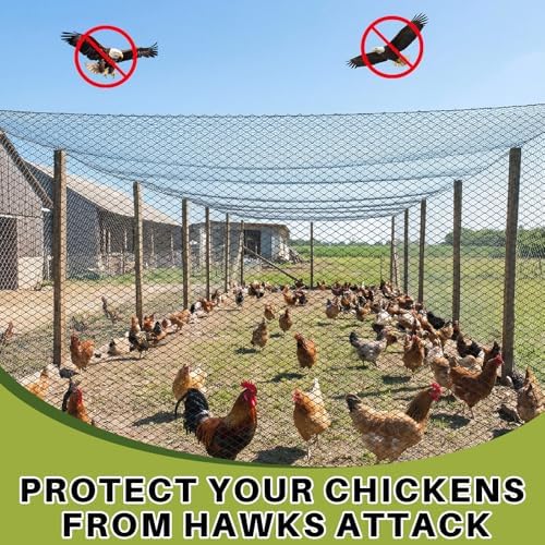 50 ft aviary bird netting chicken netting commercial, close-up detail