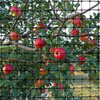 oldmacdonald deer and animal fence barrier netting (55gr/sq on a desk or shelf