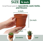 T4U 4 Inch Plant Pots 18-Pack, Small Flower Pots with Saucer and Drainage Hole, Durable Plastic Pots, Nursery Small Flower Pot Bulk for Plants, Succulent, Violet, Decorative (18 Pack 4" Pot)