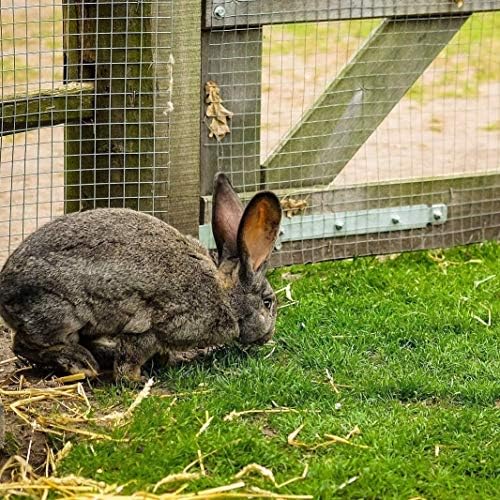 Fencer Wire 19 Gauge Hot-Dipped Galvanized Hardware Cloth with Mesh Size 1/2" x 1/2" for Chicken Coop/Run/Cage/Pen/Vegetables Garden and Home Improvement Project (g. 3 ft. x 10 ft.)