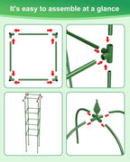 Garden Trellis for Climbing Plants Outdoor & Indoor - 2 Pack 6Ft Tall Rustproof Plant Support Cage for Vines, Flowers, Vegetables, Roses | Heavy-Duty, Adjustable & Decorative