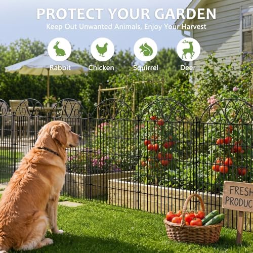 no dig garden fence with gate, outdoor dog, side view