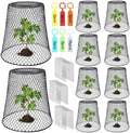 9.13"×9.13" chicken wire cloche plant covers garden netting, main product view
