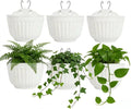 orimerc 6 pcs plastic large wall plant pots, main product view