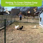 25x100ft bird netting for chicken coop, 1" mesh shown in use