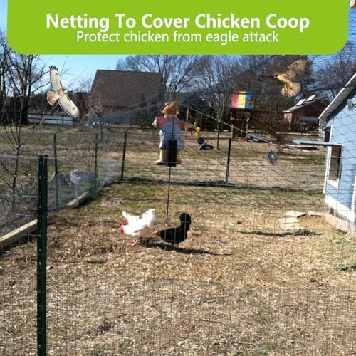 50x50ft bird netting for chicken coop, 1" mesh shown in use