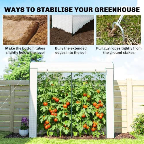 outsunny mini greenhouse portable roll-up door 78.7" x on a desk or shelf