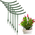 Mwellewm 10 Pack Plant Support Plant Stakes Metal Half Round Search Support Ring Small Plastic Cage Holder Short Stem Flower Pot Climbing Trellis for House Flower Vegetable Indoor Leafy(5.7 x 9.8inch)