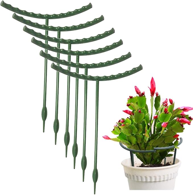 Mwellewm 10 Pack Plant Support Plant Stakes Metal Half Round Search Support Ring Small Plastic Cage Holder Short Stem Flower Pot Climbing Trellis for House Flower Vegetable Indoor Leafy(5.7 x 9.8inch)