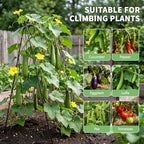 docred 39.4" h cucumber trellis, 2 pack foldable, close-up detail