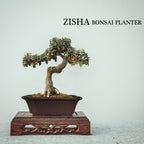 muzhi 2 pack 8" unglazed ceramic bonsai tree on a desk or shelf