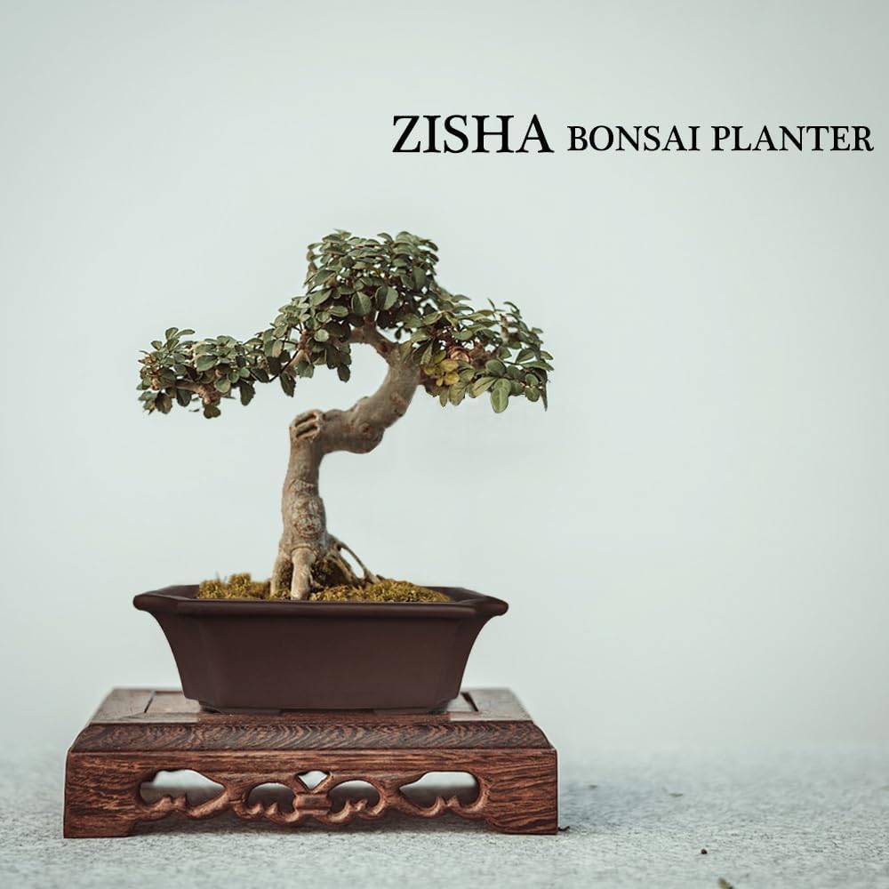 muzhi 2 pack 8" unglazed ceramic bonsai tree on a desk or shelf