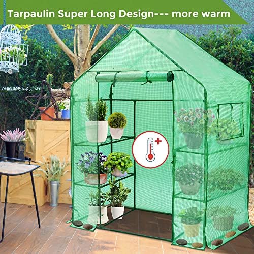 asteroutdoor small walk in greenhouse for outdoors with, close-up detail
