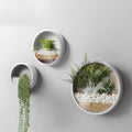 set wall planters,modern round glass wall planter succulent, main product view
