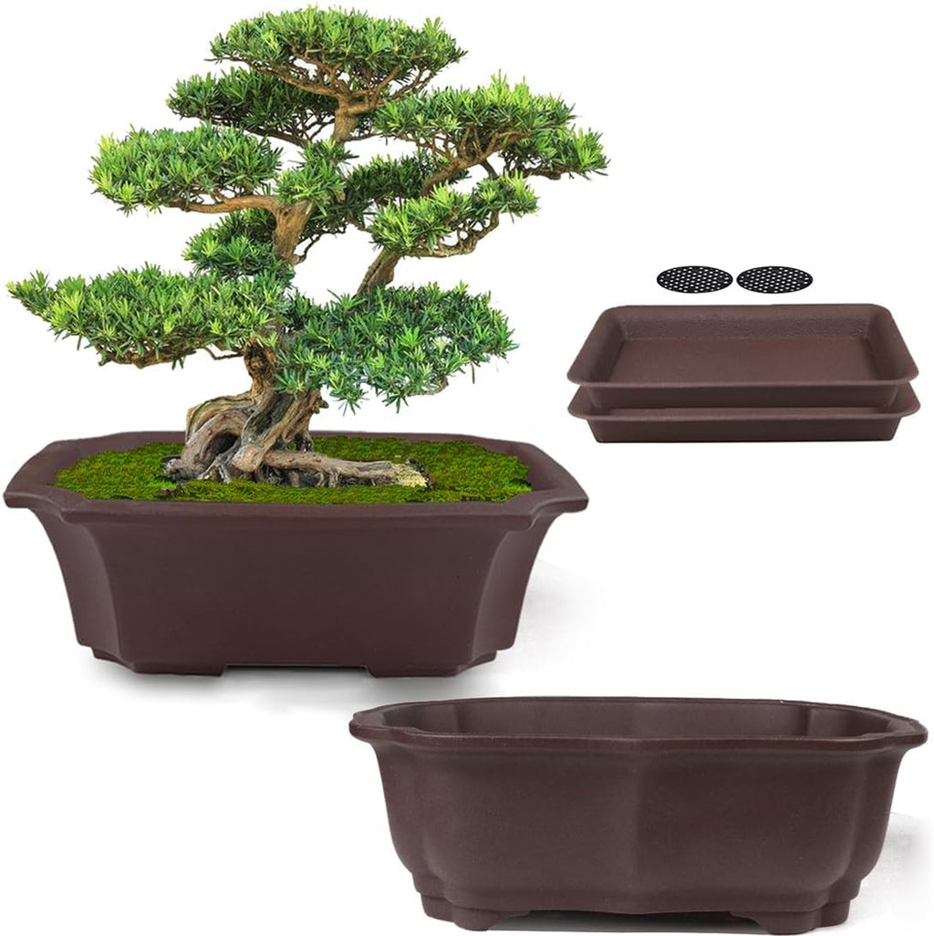 muzhi 2 pack 8" unglazed ceramic bonsai tree, main product view