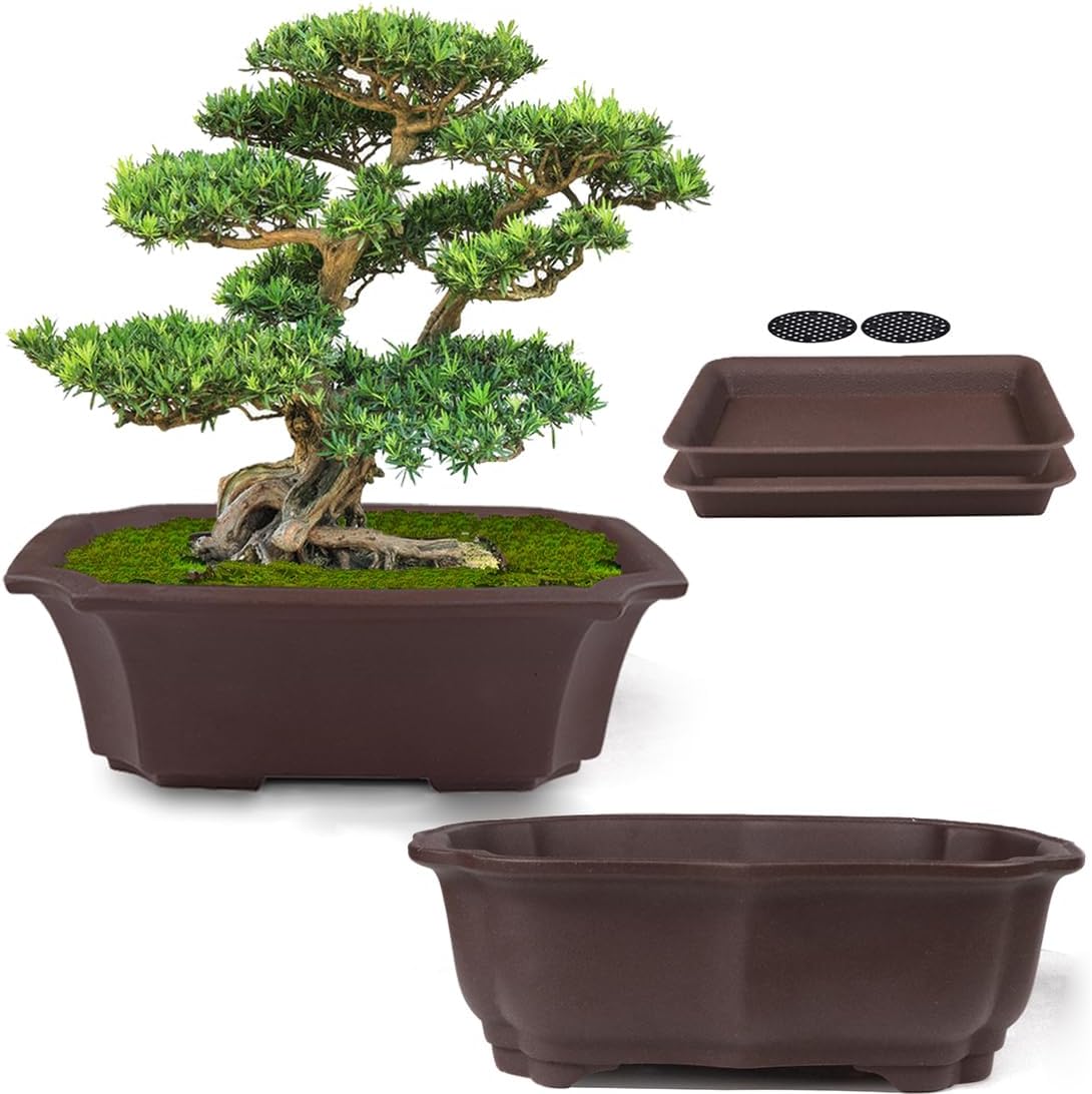 muzhi 2 pack 8" unglazed ceramic bonsai tree, main product view