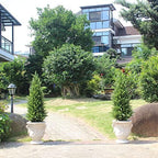 artificial topiary trees 3 foot artificial cedar trees, side view