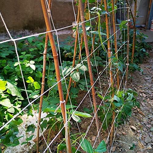 5x350ft garden trellis netting - heavy-duty polyester outdoor on a desk or shelf