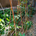 5x350ft garden trellis netting - heavy-duty polyester outdoor on a desk or shelf