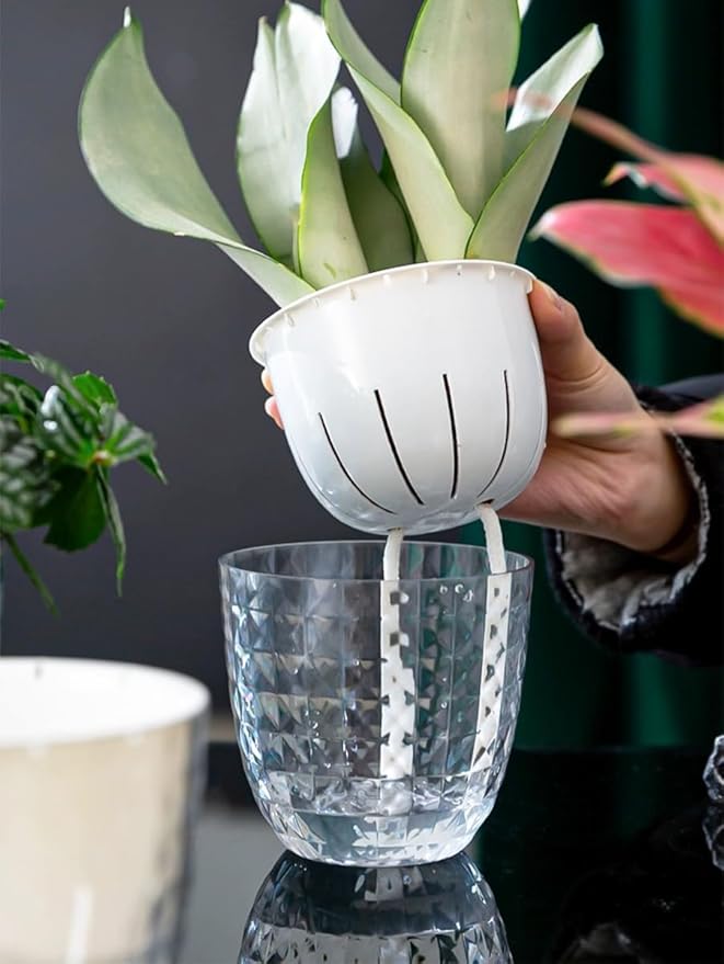 2 Pack 6 inch Self Watering Pots Planters for Indoor Plants, African Violets Pots with Wick Rope, Modern Plastic Nursery Pots for All House Plants,Flowers Succulents,Herbs,Cactus,Orchids
