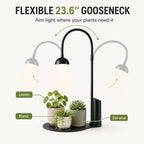 rechargeable grow light,cordless desk lamp for indoor small on a desk or shelf