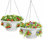ultimate hanging baskets - strawberry, tomato, flower, and, main product view