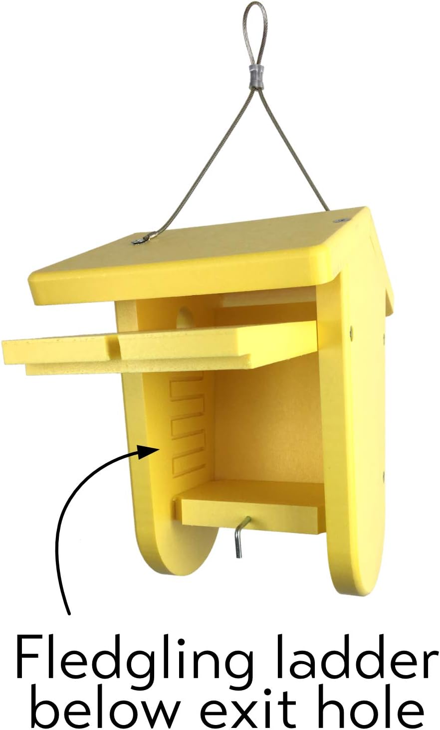 Recycled Moraine Bird House Nest Box for Wrens & Chickadees (Red/Chocolate)