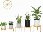 5-Pack Metal Plant Stand Indoor Anti-Rust Flower Display Stand Heavy Duty Rustproof Iron Corner Plant Holder, Round Pot Rack Shelf for Home Garden