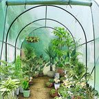 12x7x7 ft large greenhouse hot house, green house shown in use