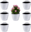 ShoppeWatch Wall Planters for Indoor Plants 7 Pack | Hanging Planters Large 7 Inch with Hooks | Wall Pots for Plants | 7.28 x 6.1 inches - PL35
