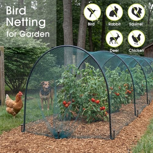 rifny bird netting for garden protection, 7.5 x shown in use