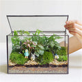 glass plant terrarium with lid, rectangular black metal, main product view
