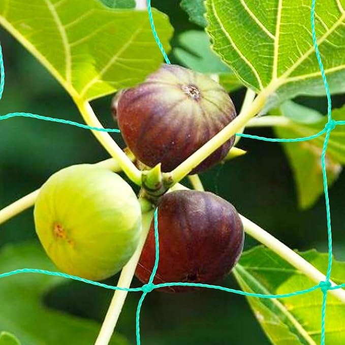 Pack of 2 Cucumber Tomato Trellis Netting, Heavy Duty Garden Netting for Climbing Plants Support, Pea, Grape, Bean, Fruit, Vegetables - 4" Mesh Size, 6Ft x 6Ft