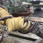 Bonsai Tree Raffia - Bonsai Plant Branch Protection + Bonsai Wiring Aid for All Tree Sizes