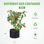 Delxo Garden Grow Bags 5 Gallon 10Pack Reusable Plant Growing Bags Fabric Pots for Planting Vegetable