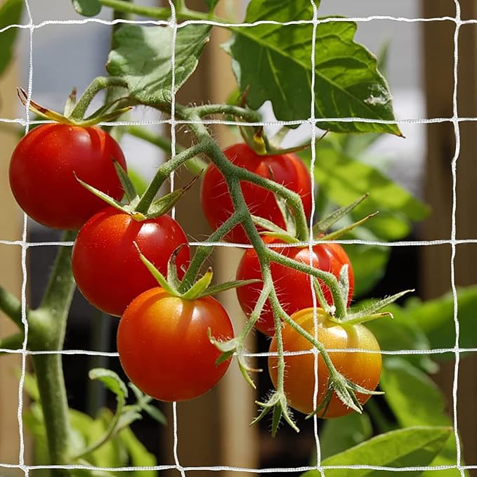 Tcamp Heavy-Duty Polyester Garden Trellis Net Plant Support Netting for Climbing Plants Outdoor, Flexible String Net for Bean Pea, White Grow Tent (5Ft x 30Ft, 3.5" Opening Mesh, 1 Pack)