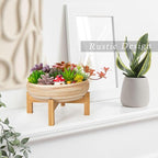 ARTKETTY Succulent Pots - 10 Inch Large Bonsai Pots with Drainage Stand, Ceramic Plant Pots Shallow Succulent Planters for Indoor Plants Decorative Cactus Flower Planter Bowl