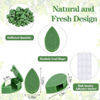 Geiserailie 60 Pieces Plant Climbing Wall Fixture Clips with 72 Pieces Acrylic Adhesive Sticker Leaf Fixer Invisible Wall Vines Fixing Clips Hook Plant Vine Traction for Indoor Outdoor Decoration