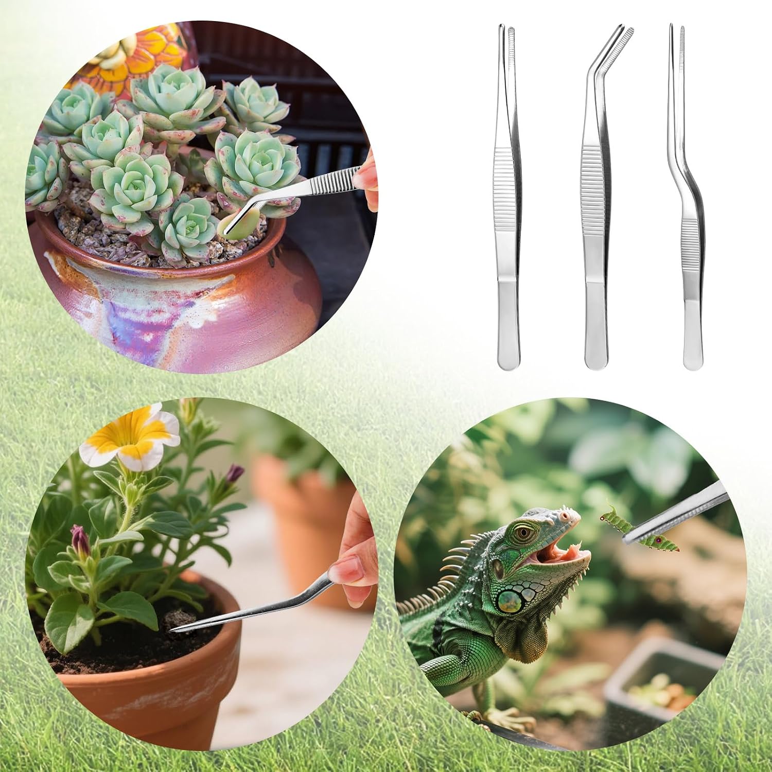 3pcs Plant Tweezers, Long Straight Stainless Steel Garden Bend Tongs Set Multi Purpose Tools for Gardening Bonsai and Reptile Feeding & Kitchen Use