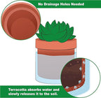 Phoenix Vine 4 Inch Self Watering Planter Pot, Terracotta Clay Pot with Glass Reservoir for Indoor Plants, Herbs, Flowers, Set of 4, 52-A-E-4