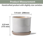 8 Inch Plant Pot: Ceramic Planter with Drainage Hole & Saucer for Indoor Outdoor Plants - Flowerpot with Bonded Tray for Home Office - Retro Style, Grey