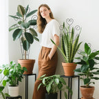 30 Inch Plant Trellis for Climbing Plants Indoor, Outdoor Metal Garden Trellis for Potted Plants, Houseplant Plant Support for Ivy Pothos Monstera Hoya Flower Vine Black Heart (Black-4pcs)