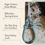 Modern Sprout Pruning Shears - Garden Snips - Herb Scissors - Sage 1-Pack | Lightweight Gardening Tool - Durable Carbon Steel Blade W/Easy-Lock - Gardening Supplies - Flower Cutter - Reusable Holster