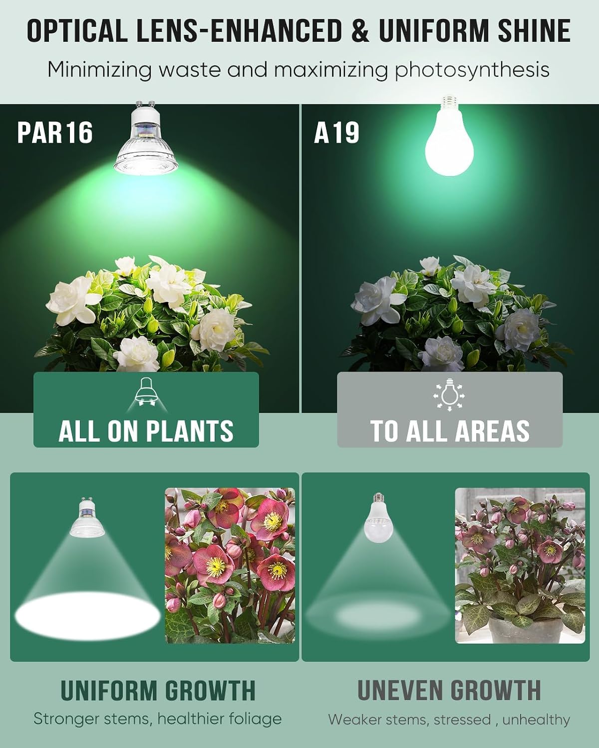 GU10 PAR16 5W Full Spectrum Grow Light Bulb for Indoor Plants | GU10 Grow Light Bulb,Suitable for Indoor Plants and Succulents,Neutral White 4000K,1-Count
