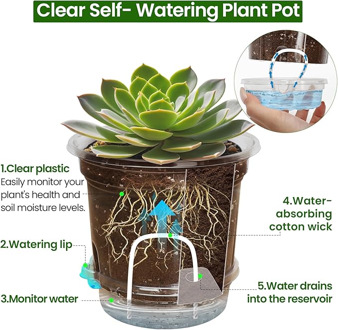 20 Pack 5 Inch Clear Self Watering Plant Pots with Bottom Water Tray & Watering Rope, Transparent Nursery Pots with Drainage for Seedlings, Herbs, and Houseplants