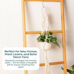 Nook Theory 6-Pack Macrame Plant Hangers with 12 Hooks - Hanging Planters for Indoor Plants, Boho Macrame Hangers Indoor Outdoor, Decorative Plant Hanger Indoor (Cream)