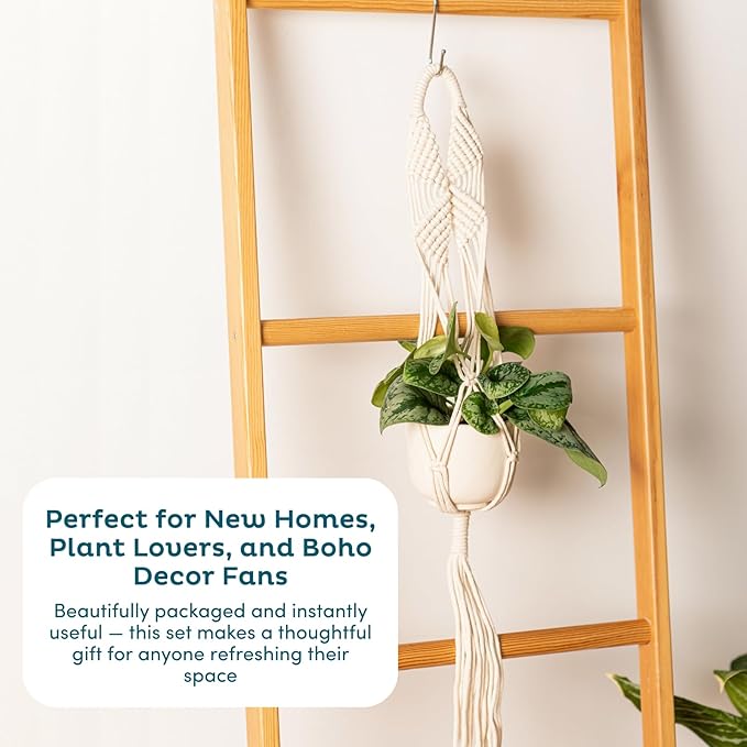 Nook Theory 6-Pack Macrame Plant Hangers with 12 Hooks - Hanging Planters for Indoor Plants, Boho Macrame Hangers Indoor Outdoor, Decorative Plant Hanger Indoor (Caramel)