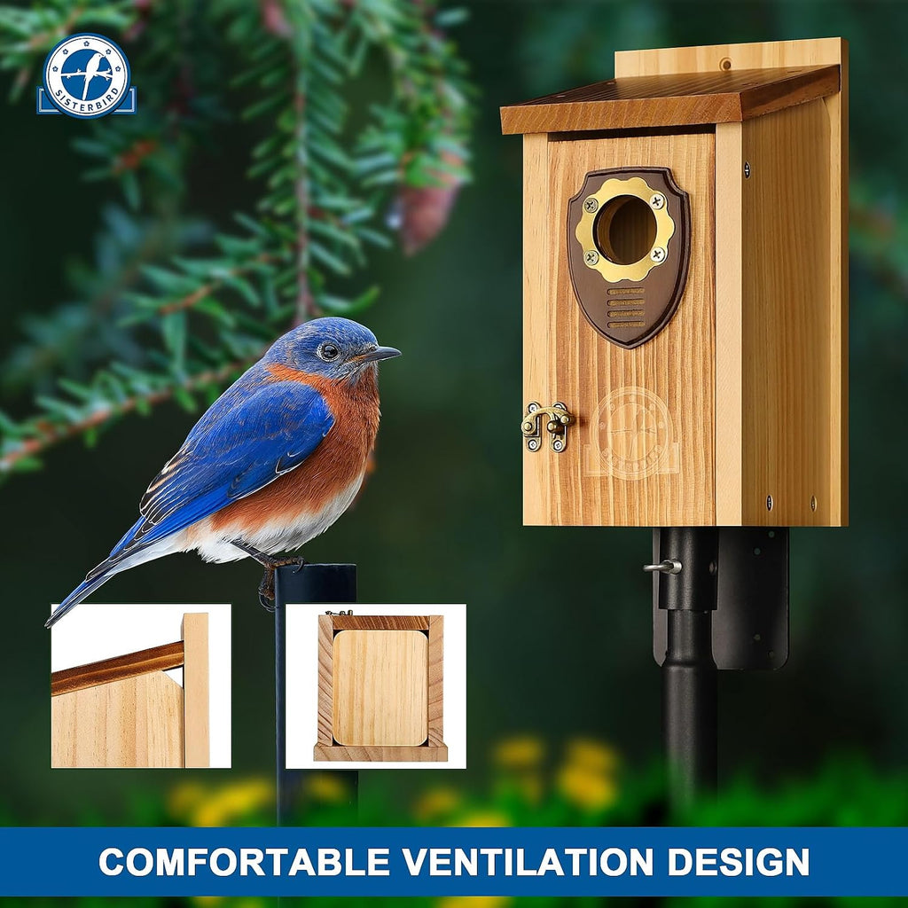 SISTERBIRD Pack of 2 Bluebird Houses for Outside, Premium Wooden Bird House, Bluebird House for Outdoor, Courtyard Decoration Bird Nest, Bluebird Finch Swallow Wren Chickadee