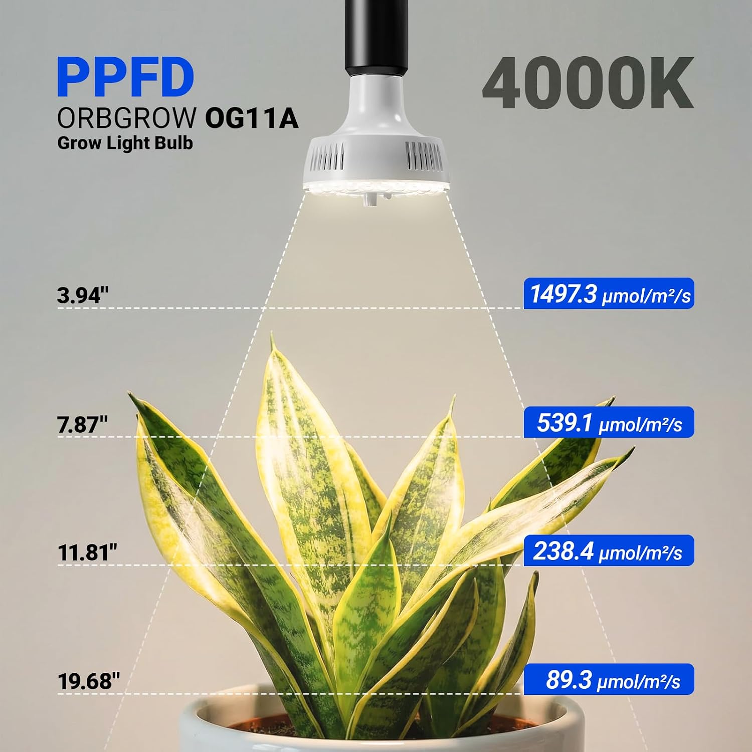 Barrina OG11A Grow Light Bulbs for Indoor Plant, 4000K 11W, 1 Pack, White | Integrated Dimming & Timing, E26 Plant Light Bulb, Full Spectrum, High PPFD for Seeds and Greens