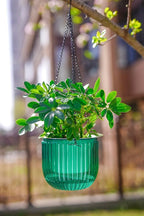 Melphoe 2 Pack Self Watering Hanging Planters Indoor Flower Pots, 6.5 Inch Outdoor Hanging Plant Basket, Hanger with 3Hooks Drainage Holes for Garden Home (Emerald + Gray)